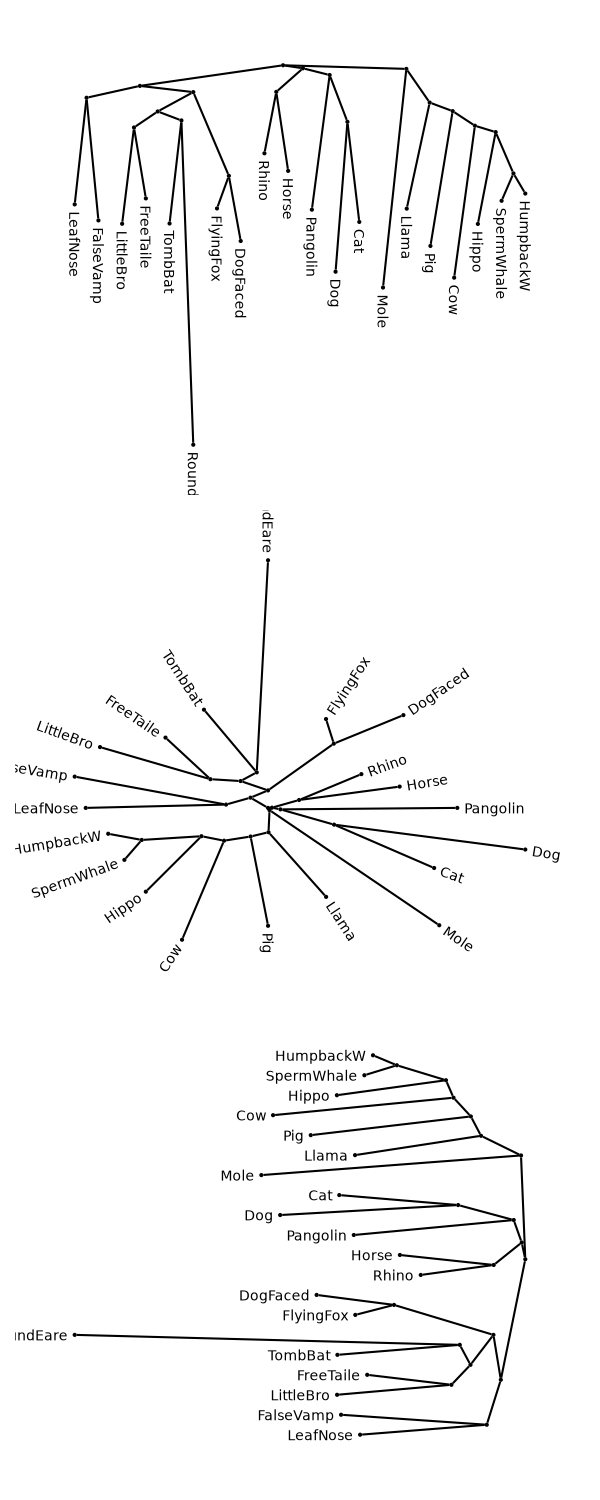 plot cogent3 layouts