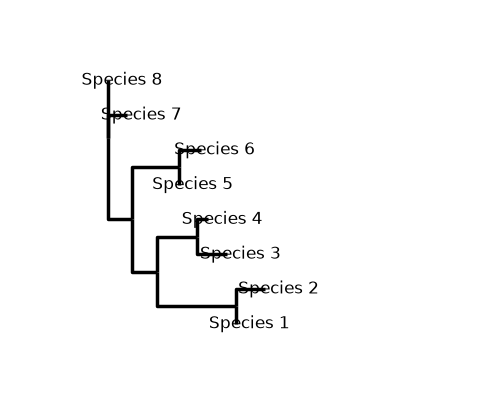 plot cogent3 tree