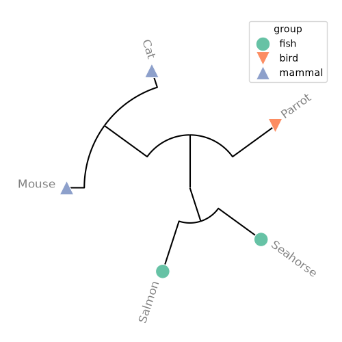 plot phyloframe tree