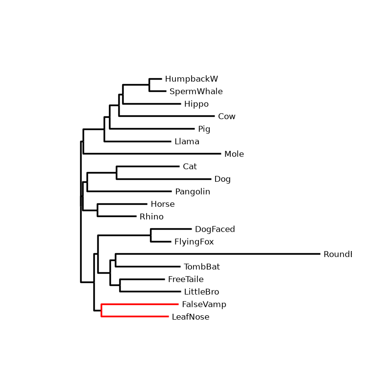plot tree style clades