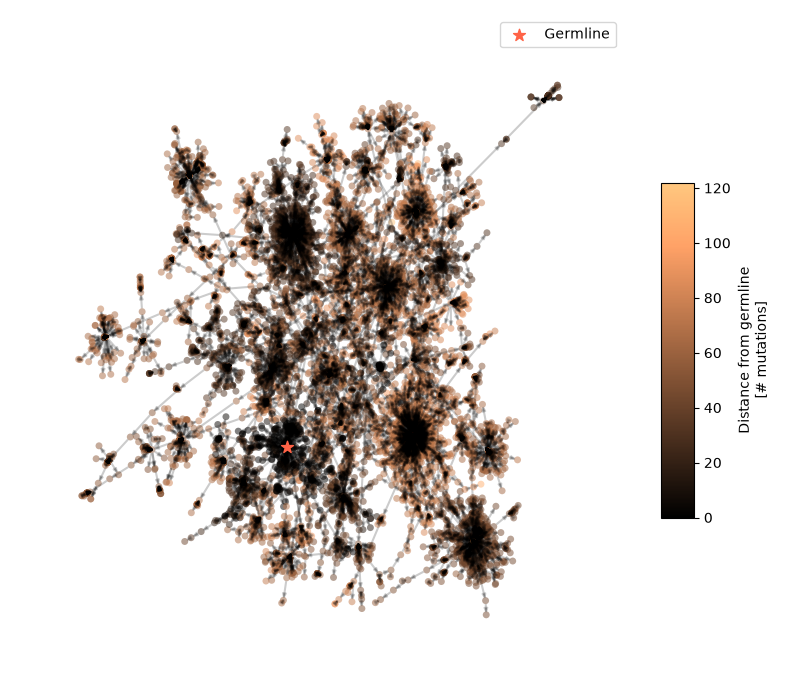 plot antibody clone