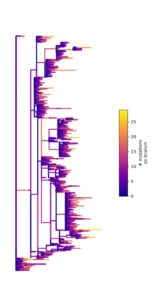plot antibody clone