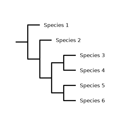 plot biopython tree