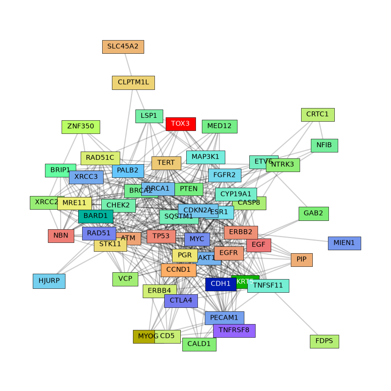 plot breast cancer ppi