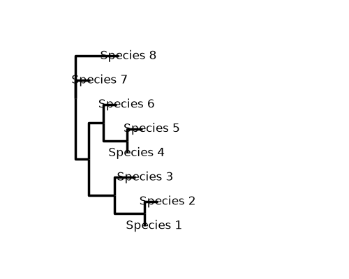 plot cogent3 tree