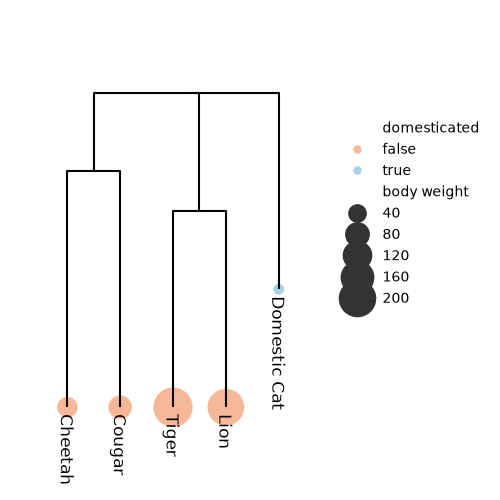 plot phyloframe tree