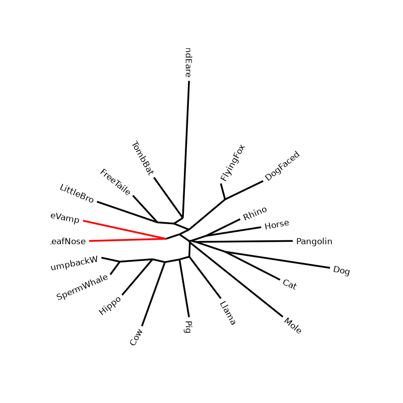 plot tree style clades
